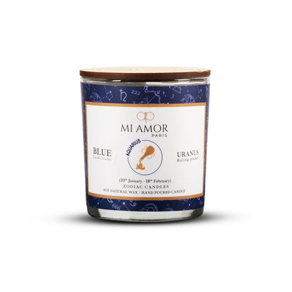 Aquarius Zodiac Candle -One Wick