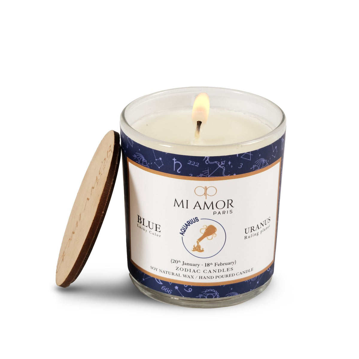 Aquarius Zodiac Candle -One Wick