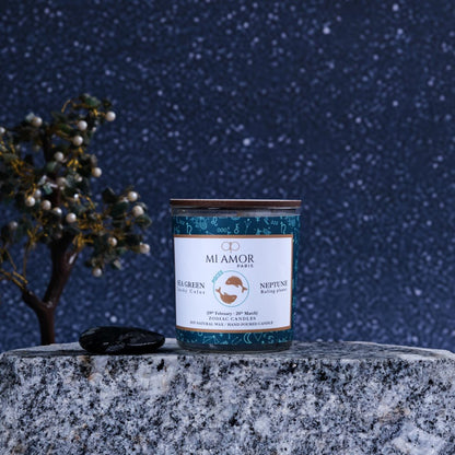 Pisces Zodiac Candle -One Wick