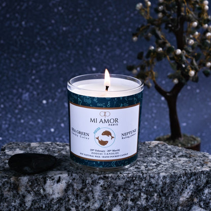 Pisces Zodiac Candle -One Wick