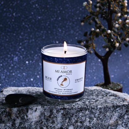 Aquarius Zodiac Candle -One Wick