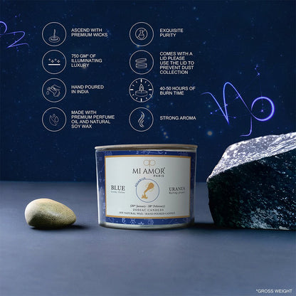 Aquarius Zodiac Candle -One Wick